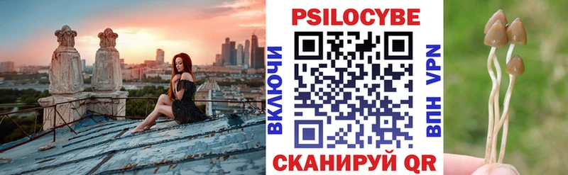 Псилоцибиновые грибы мицелий  Купить закладки  Облучье 